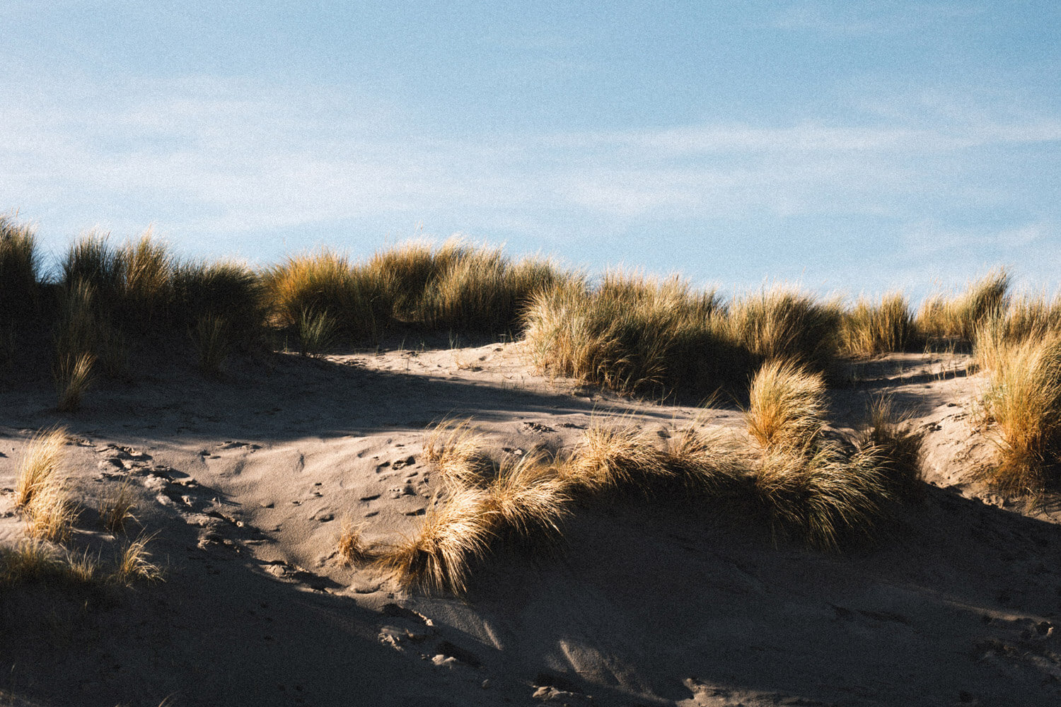 Motorbike photography by Arno Van de Vijver